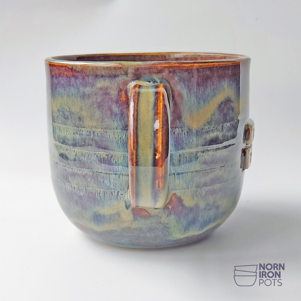 Buck Eejit Mug No.1