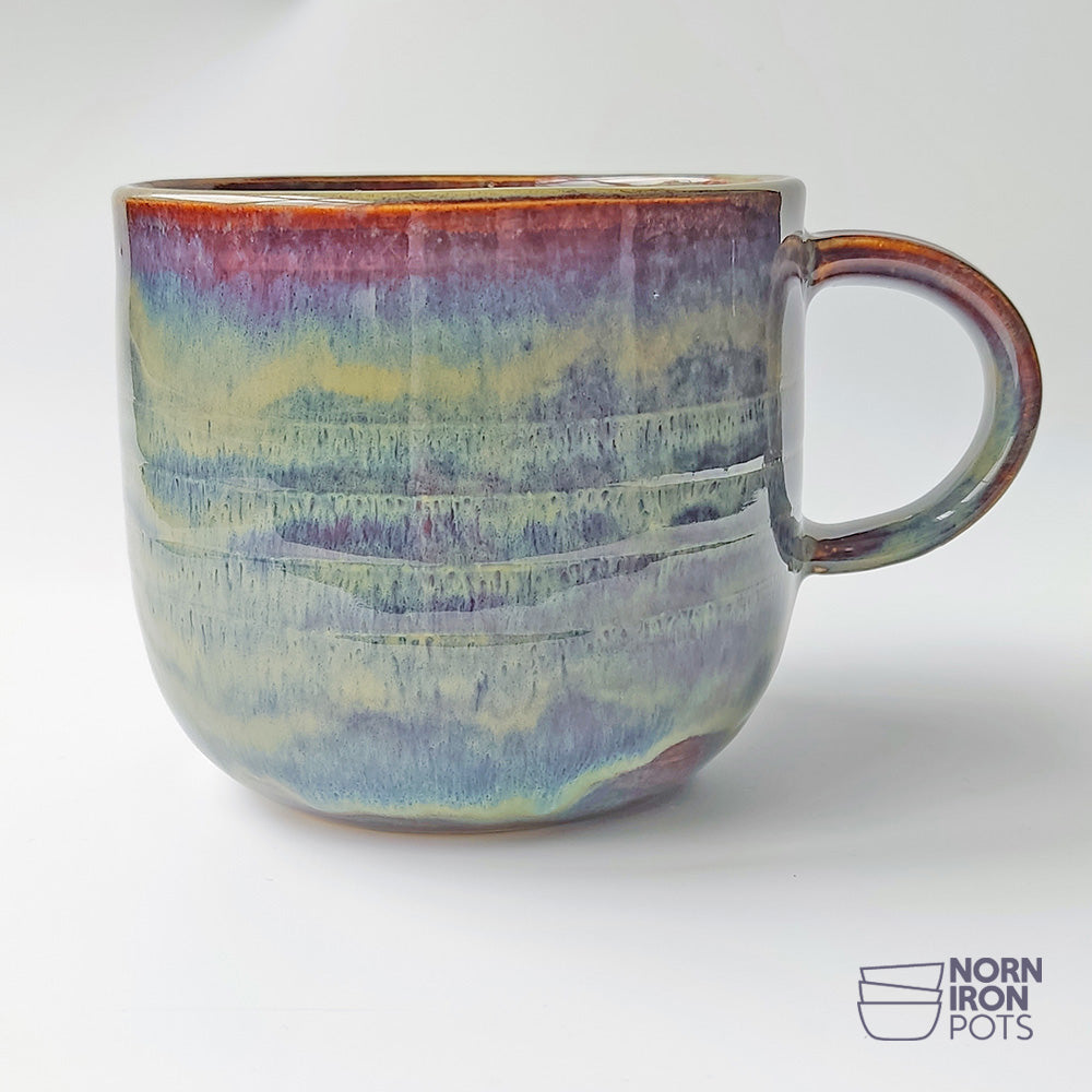Buck Eejit Mug No.1
