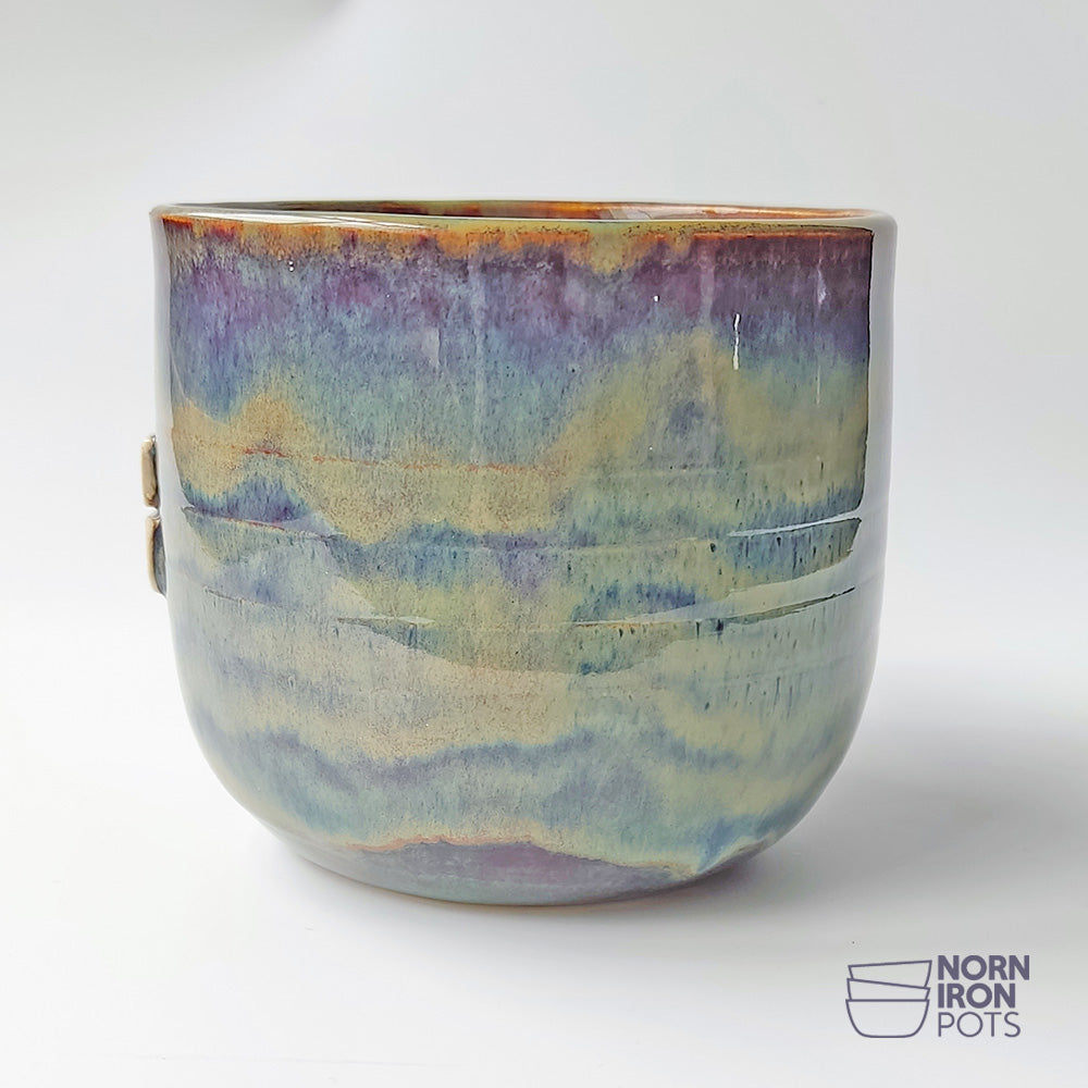 Buck Eejit Mug No.1