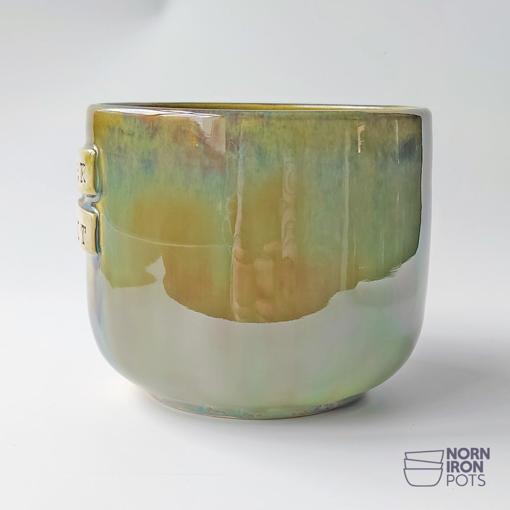 Buck Eejit Mug No.2