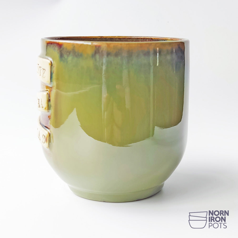 Slǭinte Mutha Fu*kas Mug No.1