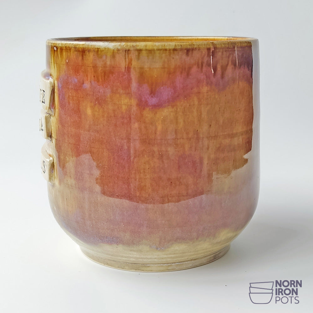 Slǭinte Mutha Fu*kas Mug No.3