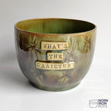 What's The Craictus? (Plant Pot)