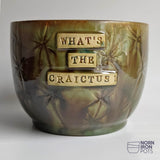 What's The Craictus? (Plant Pot)