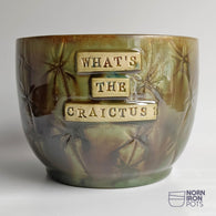 What's The Craictus? (Plant Pot)