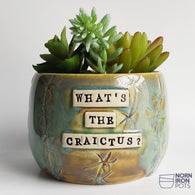 What's The Craictus?