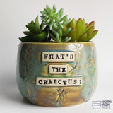 What's The Craictus?