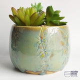 What's The Craictus?