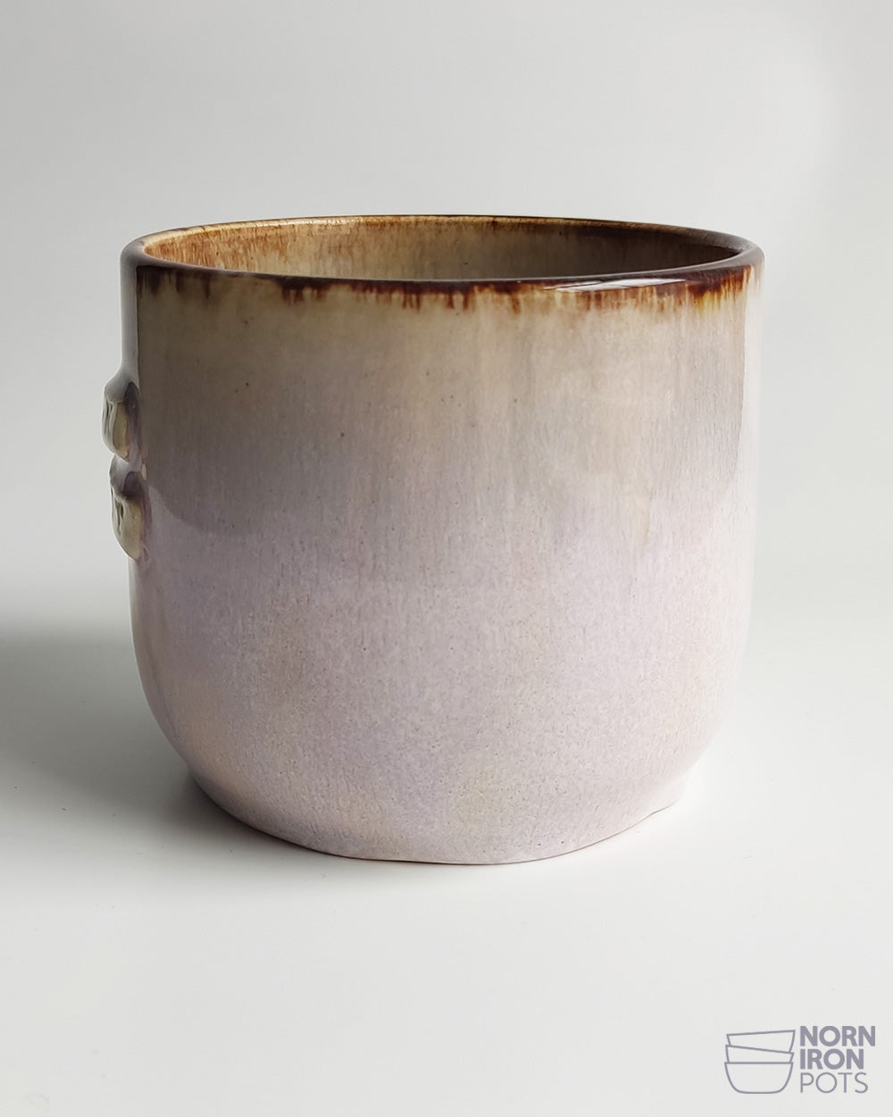 Buck Eejit Mug