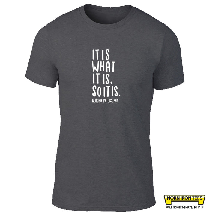 It Is What It Is, So It Is. ~ N.Irish Philosophy