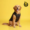Howl On Dog Puffer Jacket